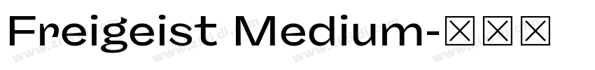 Freigeist Medium字体转换 Freigeist Medium字体转换